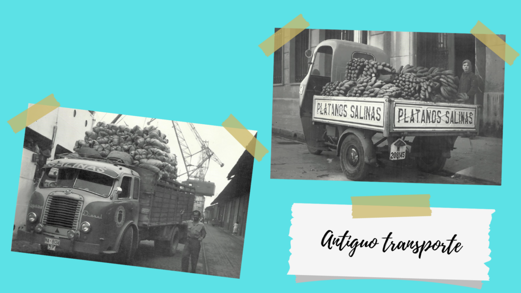 Frutería en Pamplona de plátanos y frutas tropicales hace 90 años