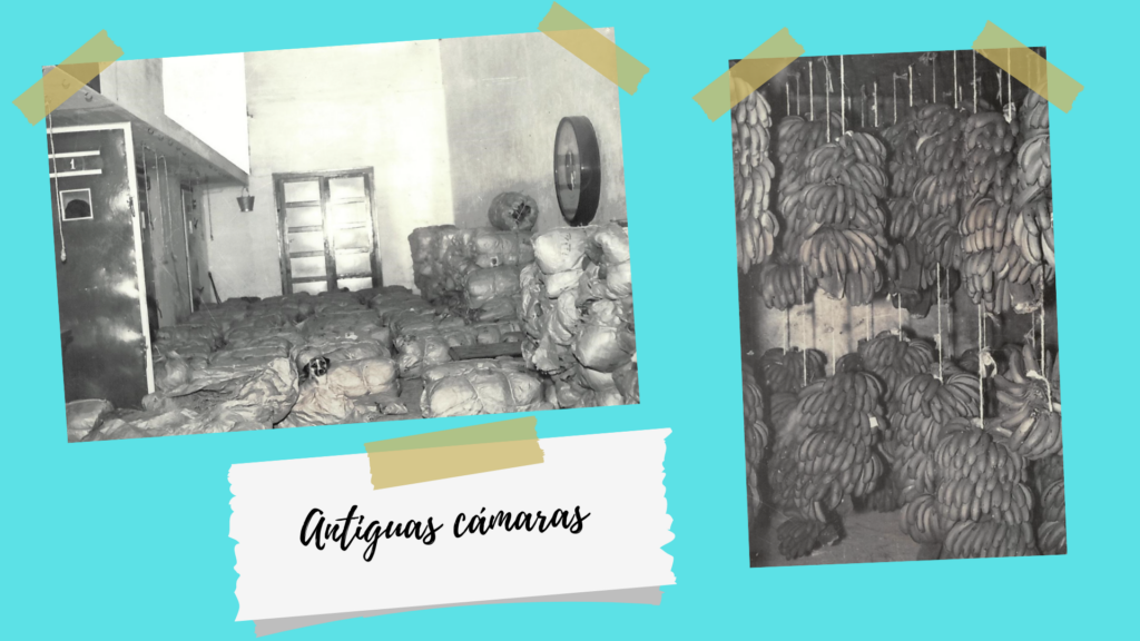 Cámaras frigoríficas de la frutería en Pamplona hace 90 años