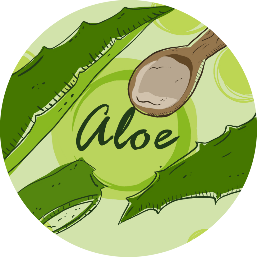 Aloe Vera - Frutería en Pamplona