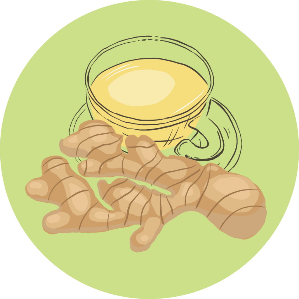 Jengibre - Frutería en Pamplona