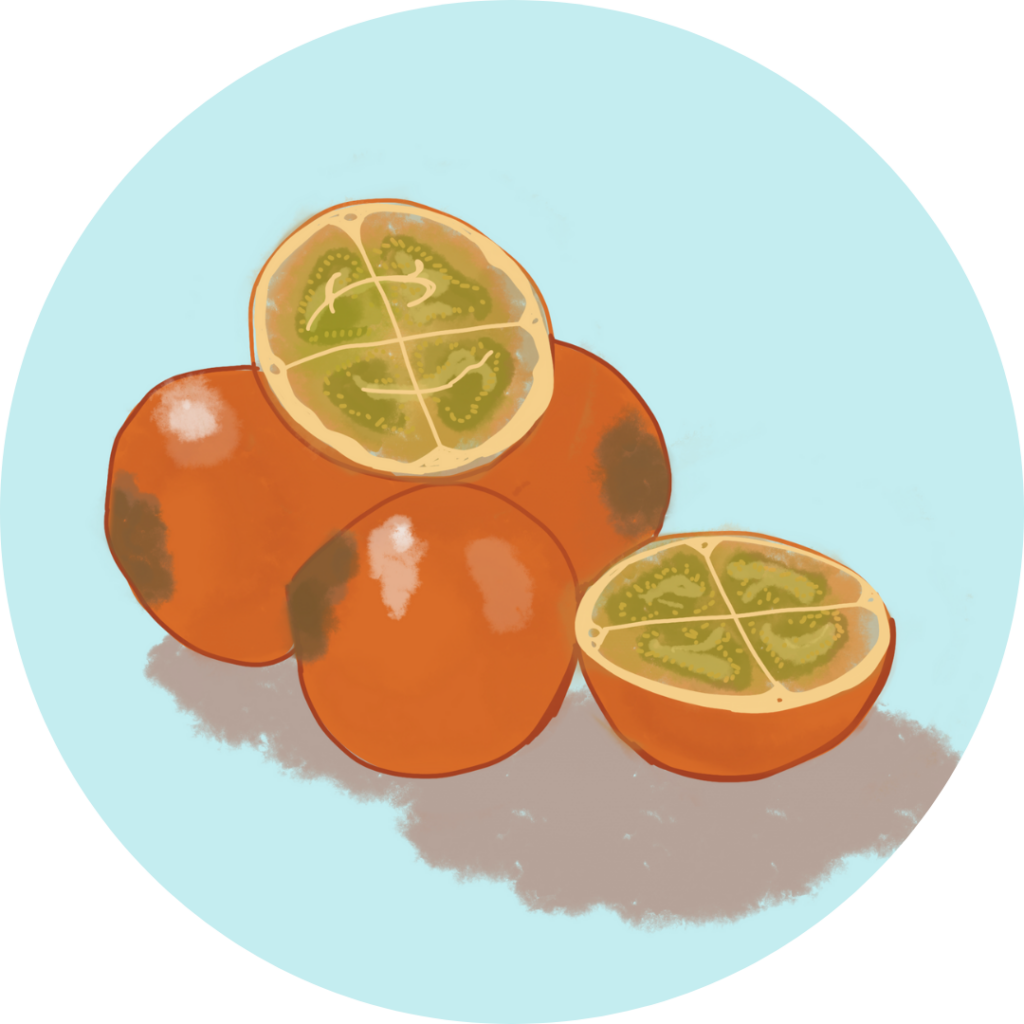 Lulo - Frutería en Pamplona