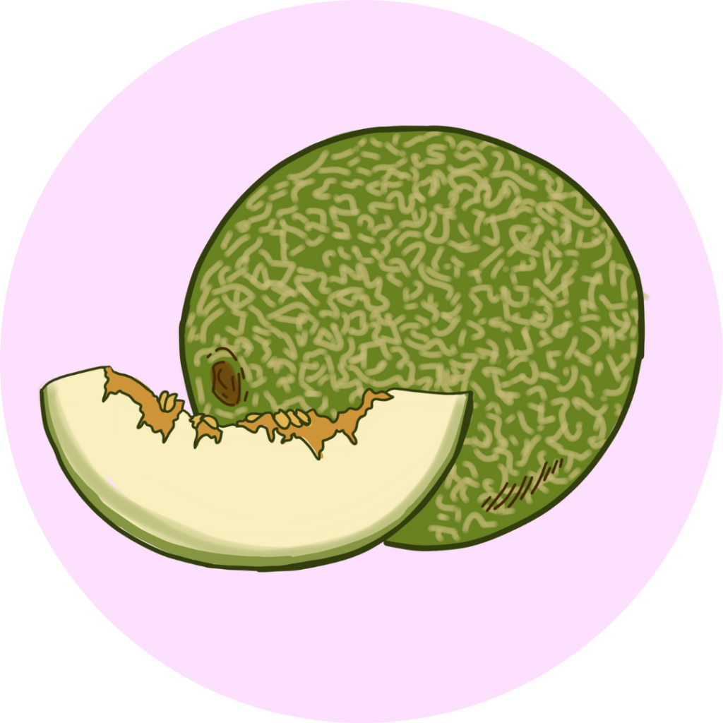 Melón - Frutería en Pamplona