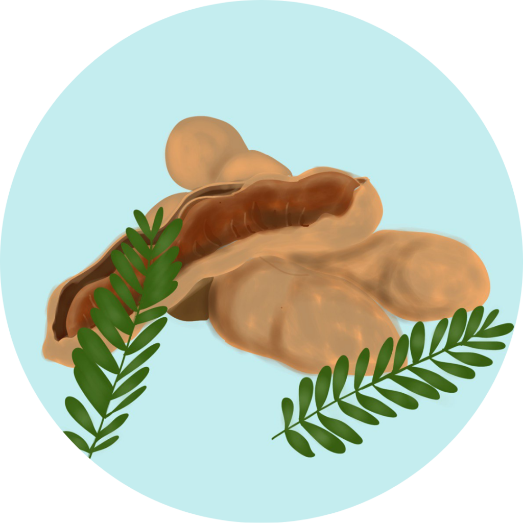 Tamarindo - Frutería en Pamplona